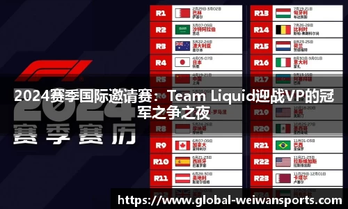 2024赛季国际邀请赛：Team Liquid迎战VP的冠军之争之夜